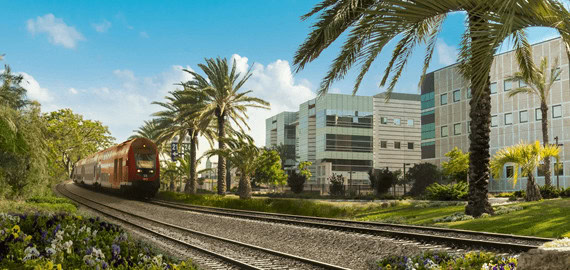 רכבת נוסעת על גבי מסילה ולצידה דקלים ומבנים עסקיים