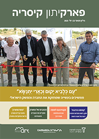 פארקיתון יולי 25