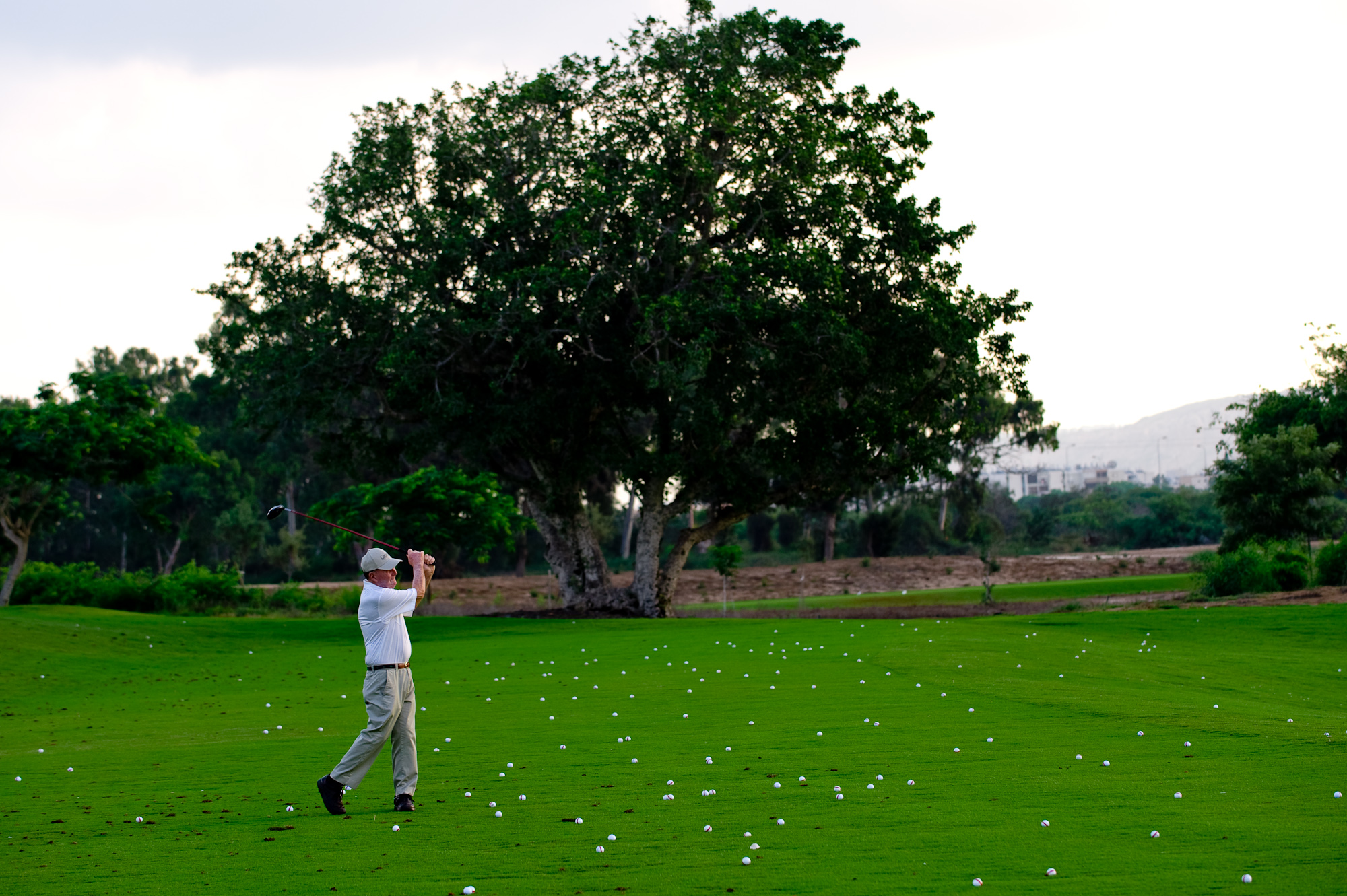 האדריכל פיט דאי ניצב על הדשא כשהוא מניף מחבט גולף. על הדשא פזורים עשרות כדורי גולף ועץ רחב צמרת עומד ברקע