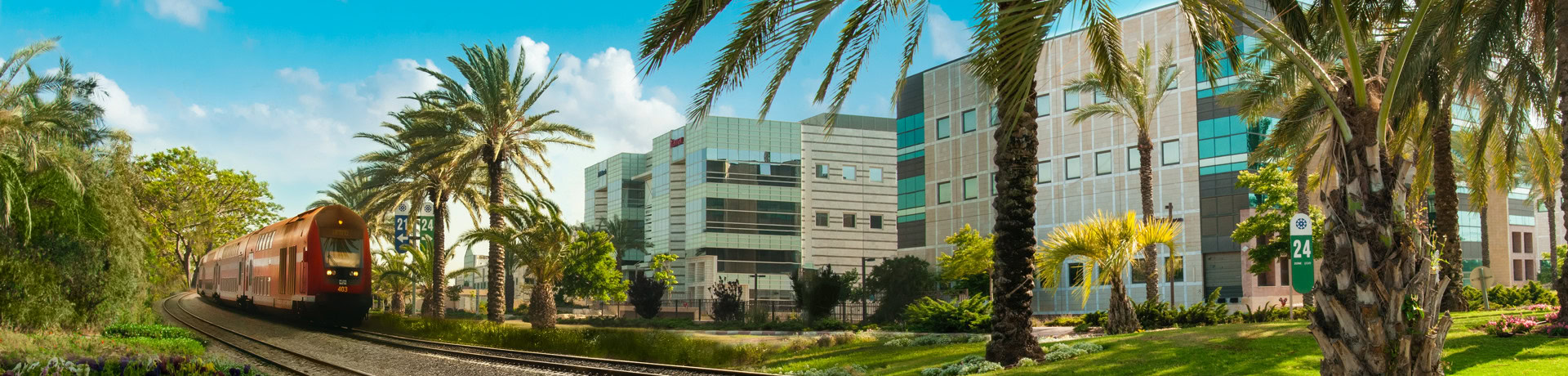 רכבת נוסעת על גבי מסילה ולצידה דקלים ומבנים עסקיים בפארק העסקים