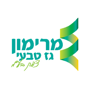 מרימון גז טבעי