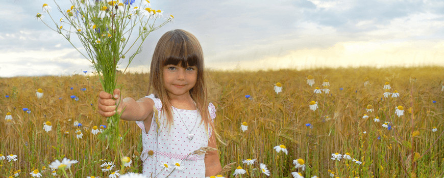 ילדה עומדת בשדה פרחי בר ואוחזת ביד אחת בזר פרחי בר.