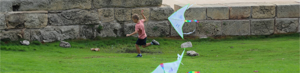 ילד מטיס עפיפון על דשא ירוק