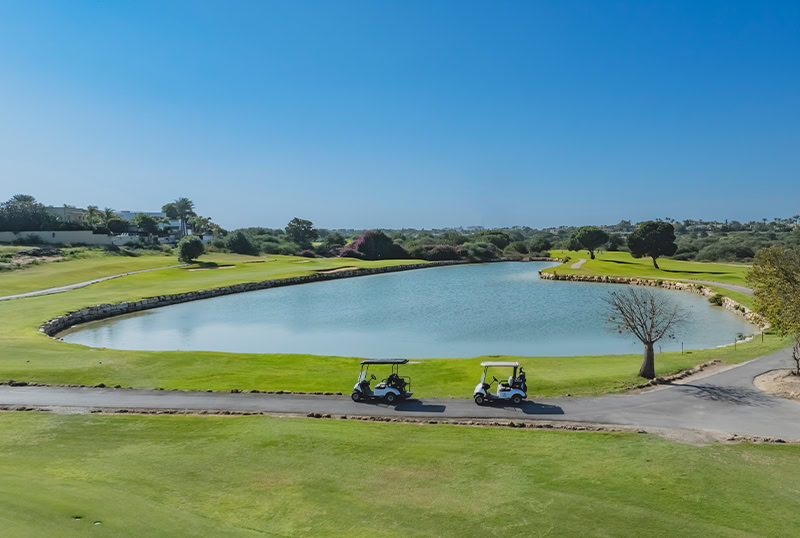 4 GREEN