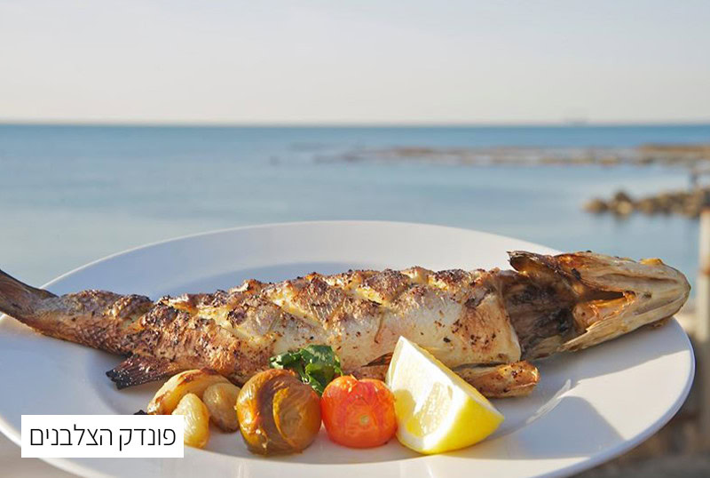 הצלבנים חדש